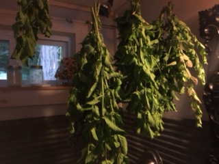 Herbs drying