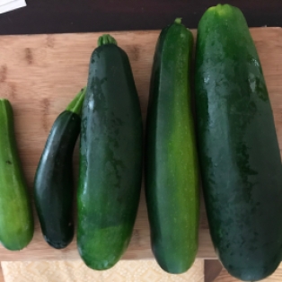 What a difference a few days make in zucchini land...